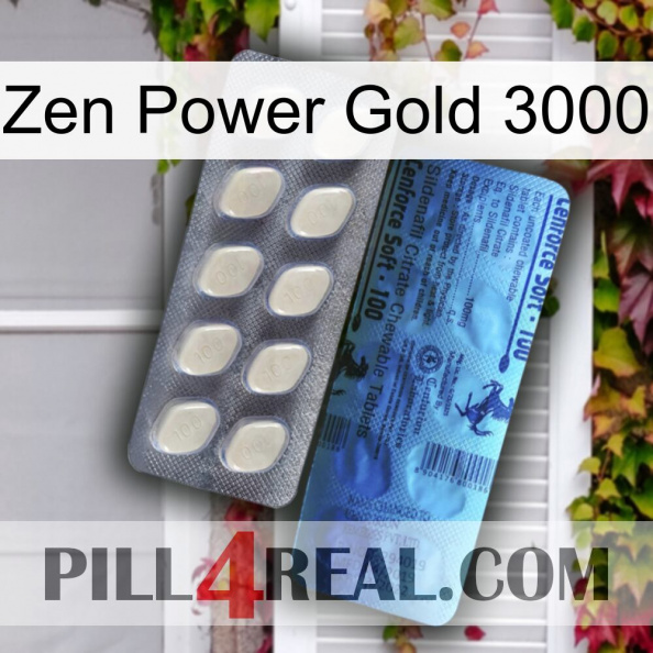 Zen Power Gold 3000 34.jpg